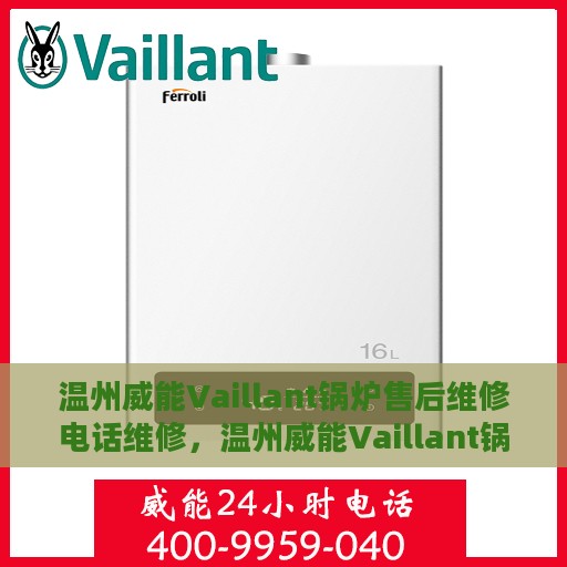 温州威能Vaillant锅炉售后维修电话维修，温州威能Vaillant锅炉专业售后维修团队，快速响应，专业维修电话在线服务
