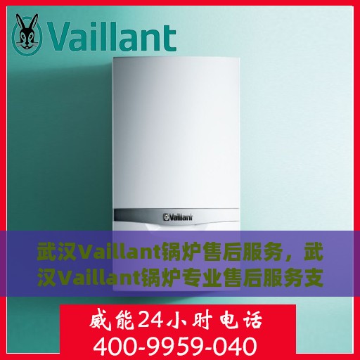 武汉Vaillant锅炉售后服务，武汉Vaillant锅炉专业售后服务支持