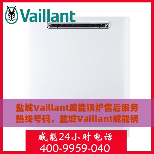 盐城Vaillant威能锅炉售后服务热线号码，盐城Vaillant威能锅炉售后服务热线详解，专业、快捷的维修与支持团队为您服务