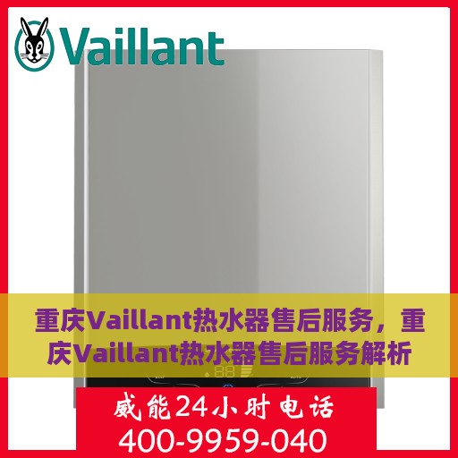 重庆Vaillant热水器售后服务，重庆Vaillant热水器售后服务解析，专业团队，贴心服务