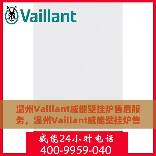 温州Vaillant威能壁挂炉售后服务，温州Vaillant威能壁挂炉售后服务详解，专业团队，贴心服务