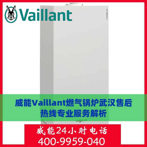 威能Vaillant燃气锅炉武汉售后热线专业服务解析