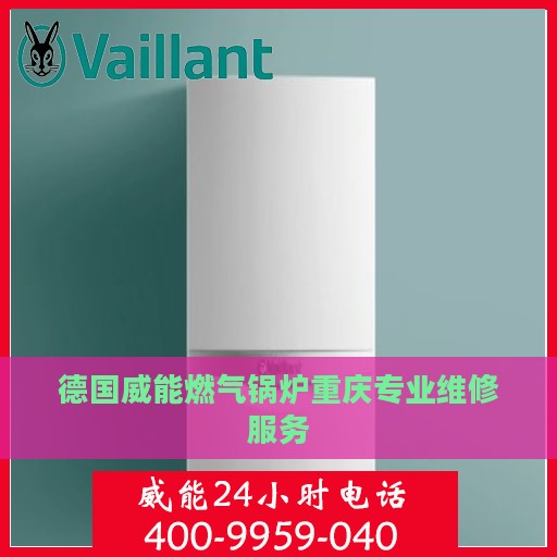 德国威能燃气锅炉重庆专业维修服务