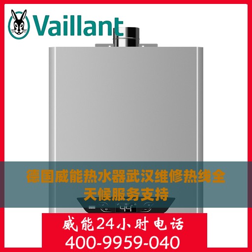 德国威能热水器武汉维修热线全天候服务支持