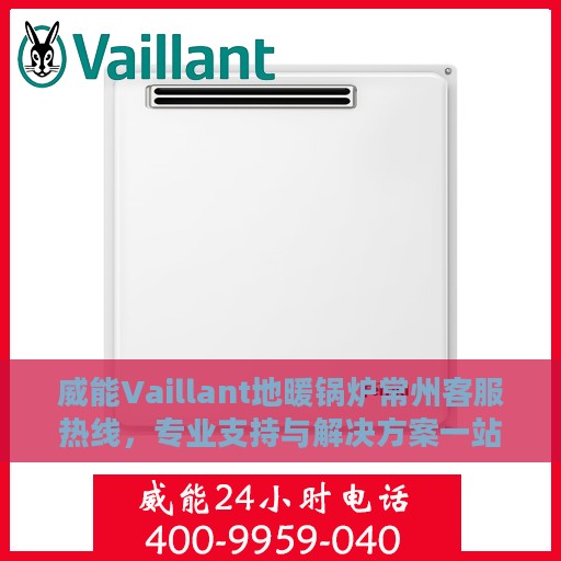 威能Vaillant地暖锅炉常州客服热线，专业支持与解决方案一站式服务