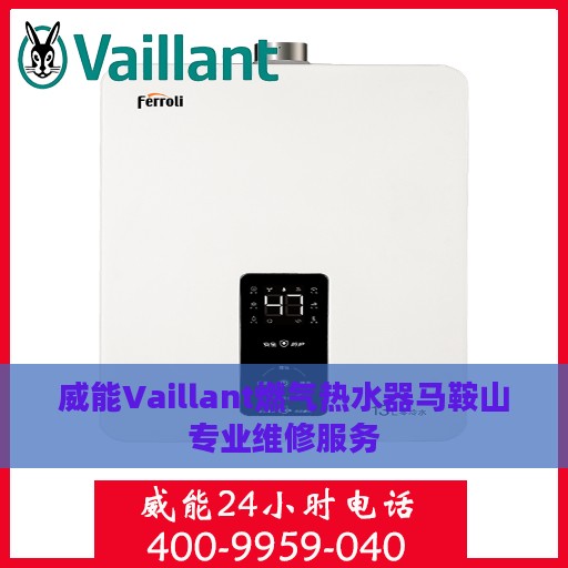 威能Vaillant燃气热水器马鞍山专业维修服务