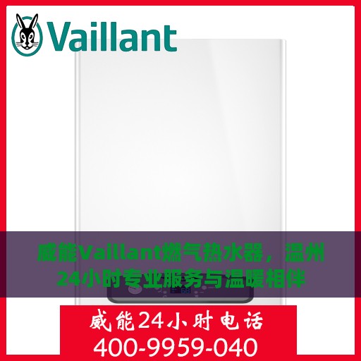 威能Vaillant燃气热水器，温州24小时专业服务与温暖相伴