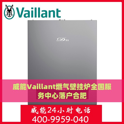 威能Vaillant燃气壁挂炉全国服务中心落户合肥