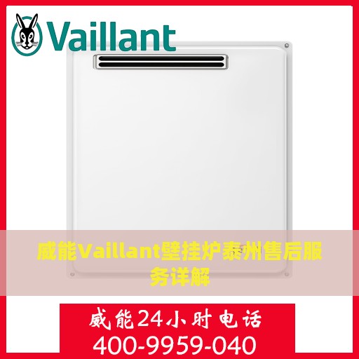威能Vaillant壁挂炉泰州售后服务详解