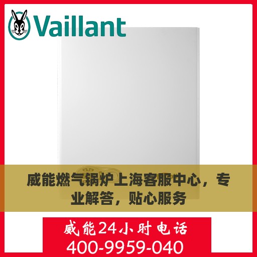 威能燃气锅炉上海客服中心，专业解答，贴心服务