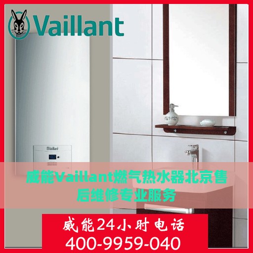 威能Vaillant燃气热水器北京售后维修专业服务