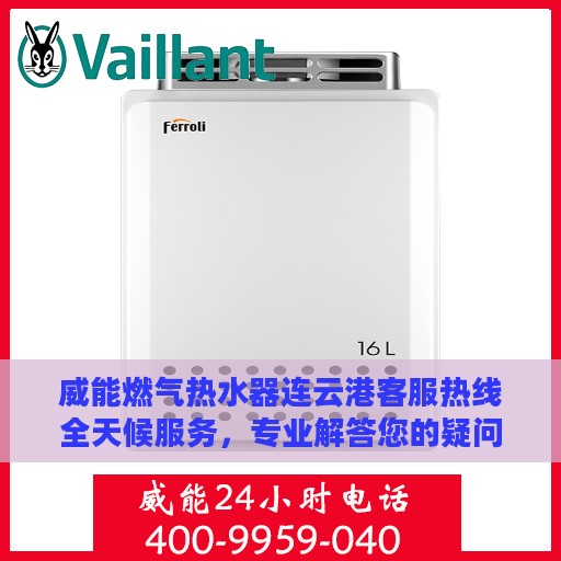 威能燃气热水器连云港客服热线全天候服务，专业解答您的疑问