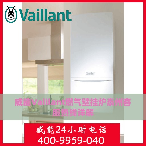 威能Vaillant燃气壁挂炉泰州客服热线详解