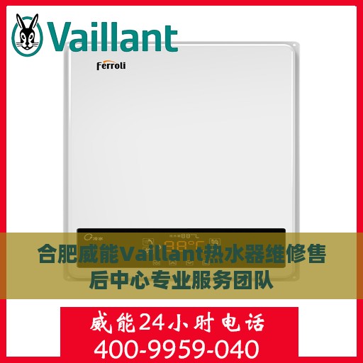 合肥威能Vaillant热水器维修售后中心专业服务团队