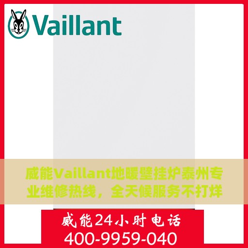 威能Vaillant地暖壁挂炉泰州专业维修热线，全天候服务不打烊