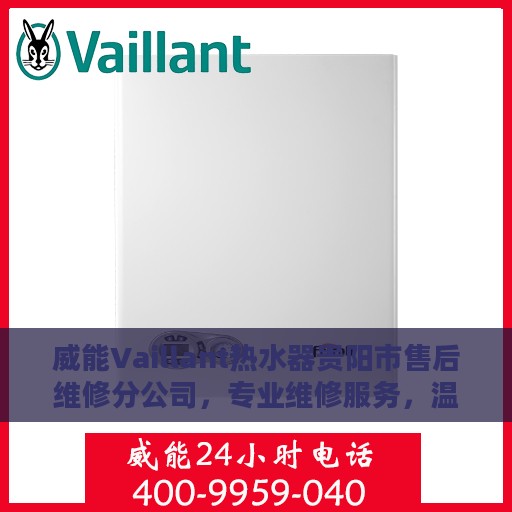 威能Vaillant热水器贵阳市售后维修分公司，专业维修服务，温暖您的生活