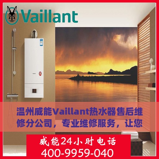 温州威能Vaillant热水器售后维修分公司，专业维修服务，让您无后顾之忧