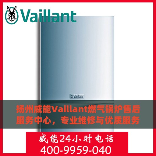 扬州威能Vaillant燃气锅炉售后服务中心，专业维修与优质服务并重