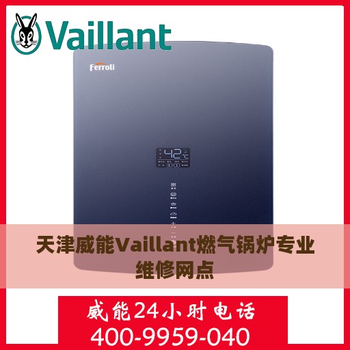 天津威能Vaillant燃气锅炉专业维修网点