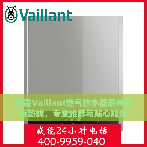 威能Vaillant燃气热水器泰州售后热线，专业维修与贴心服务