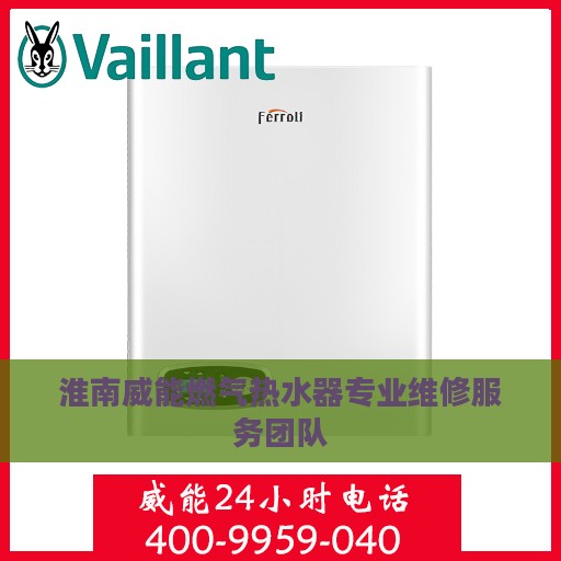淮南威能燃气热水器专业维修服务团队