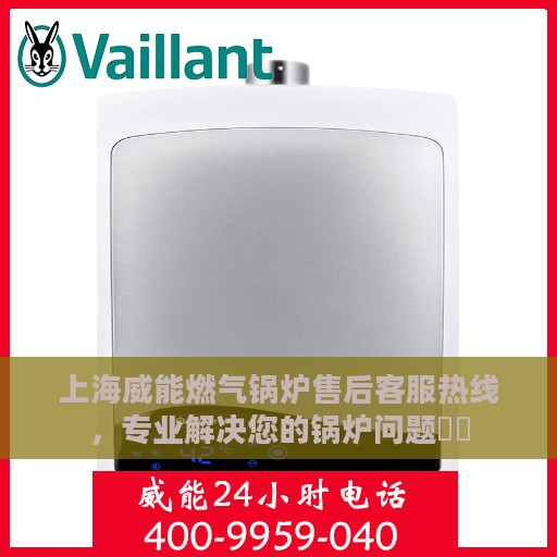 上海威能燃气锅炉售后客服热线，专业解决您的锅炉问题​​