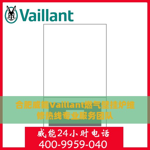 合肥威能Vaillant燃气壁挂炉维修热线专业服务团队