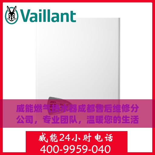 威能燃气热水器成都售后维修分公司，专业团队，温暖您的生活