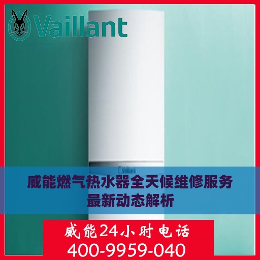 威能燃气热水器全天候维修服务最新动态解析