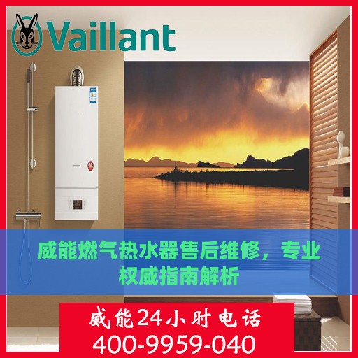 威能燃气热水器售后维修，专业权威指南解析