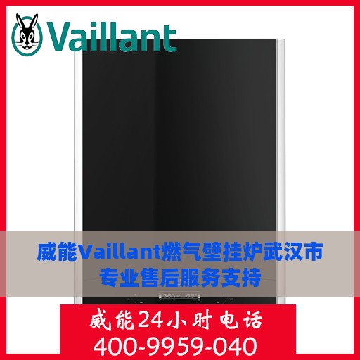 威能Vaillant燃气壁挂炉武汉市专业售后服务支持