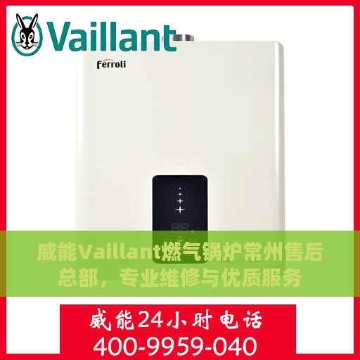 威能Vaillant燃气锅炉常州售后总部，专业维修与优质服务