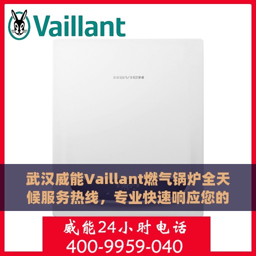 武汉威能Vaillant燃气锅炉全天候服务热线，专业快速响应您的需求