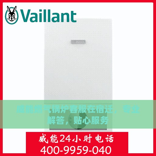 威能燃气锅炉客服在宿迁，专业解答，贴心服务
