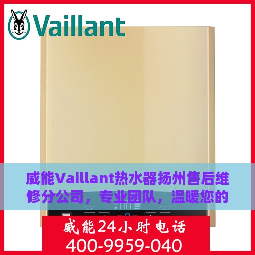 威能Vaillant热水器扬州售后维修分公司，专业团队，温暖您的生活