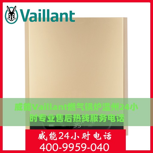 威能Vaillant燃气锅炉温州24小时专业售后热线服务电话