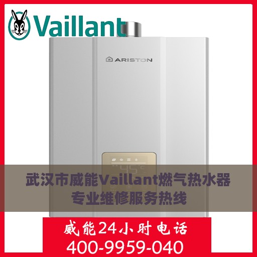 武汉市威能Vaillant燃气热水器专业维修服务热线