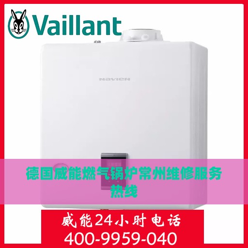 德国威能燃气锅炉常州维修服务热线