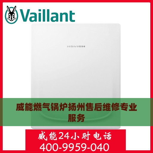 威能燃气锅炉扬州售后维修专业服务
