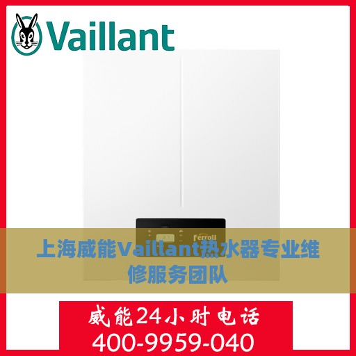 上海威能Vaillant热水器专业维修服务团队