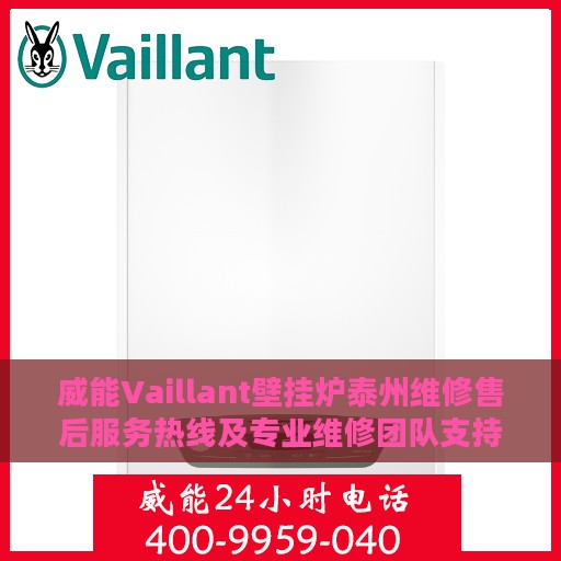 威能Vaillant壁挂炉泰州维修售后服务热线及专业维修团队支持