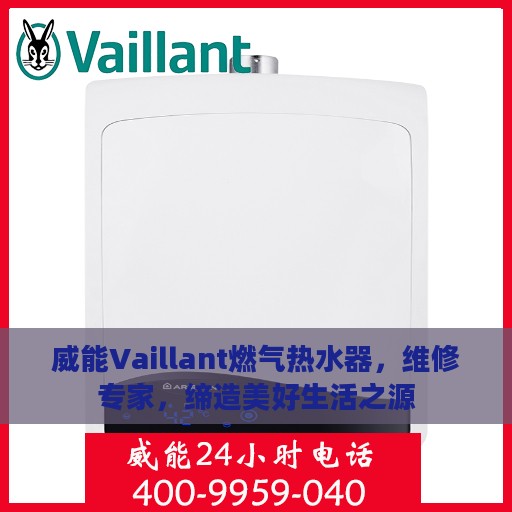 威能Vaillant燃气热水器，维修专家，缔造美好生活之源
