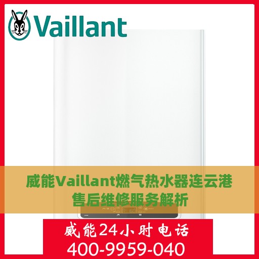 威能Vaillant燃气热水器连云港售后维修服务解析