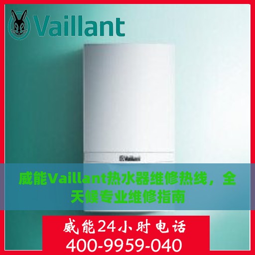 威能Vaillant热水器维修热线，全天候专业维修指南