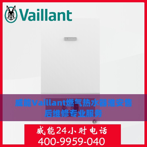 威能Vaillant燃气热水器淮安售后维修专业服务
