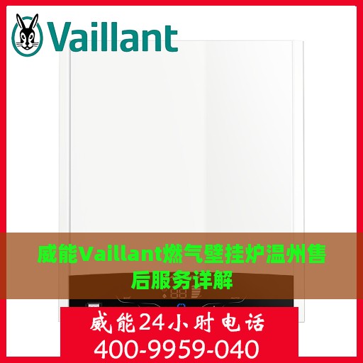 威能Vaillant燃气壁挂炉温州售后服务详解