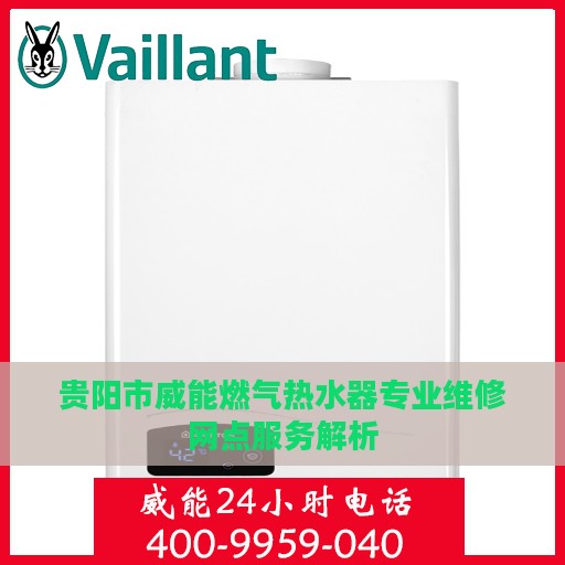 贵阳市威能燃气热水器专业维修网点服务解析