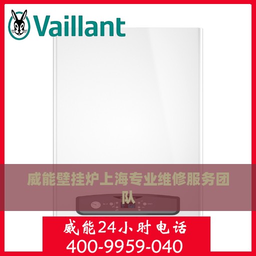 威能壁挂炉上海专业维修服务团队