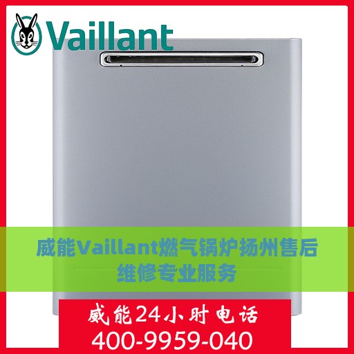 威能Vaillant燃气锅炉扬州售后维修专业服务