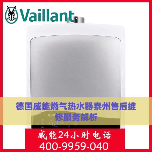 德国威能燃气热水器泰州售后维修服务解析